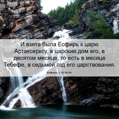 Picture 06 - Есфирь 2:16 RUSV - И взята была Есфирь к царю - Bible Verse Picture