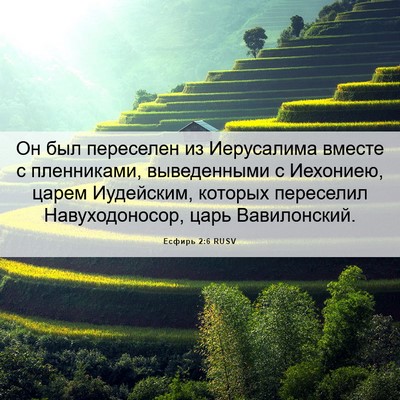 Picture 06 - Есфирь 2:6 RUSV - Он был переселен из - Bible Verse Picture