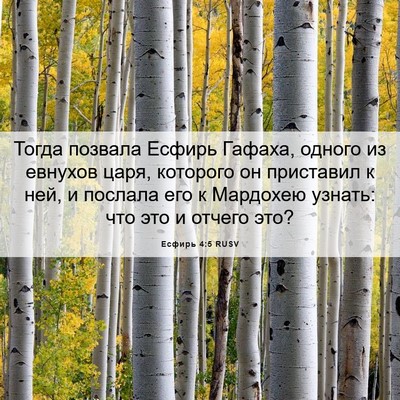 Picture 06 - Есфирь 4:5 RUSV - Тогда позвала Есфирь - Bible Verse Picture