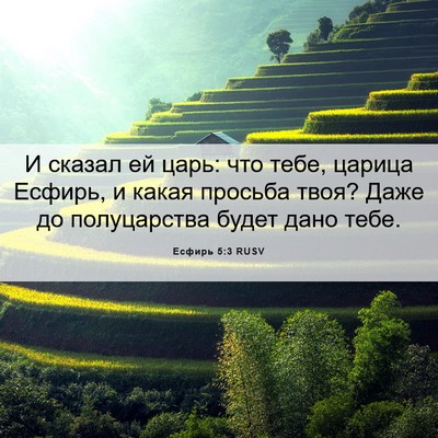 Picture 06 - Есфирь 5:3 RUSV - И сказал ей царь: что тебе, - Bible Verse Picture