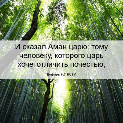Picture 06 - Есфирь 6:7 RUSV - И сказал Аман царю: тому - Bible Verse Picture