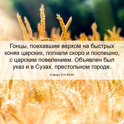 Picture 06 - Есфирь 8:14 RUSV - Гонцы, поехавшие верхом на - Bible Verse Picture