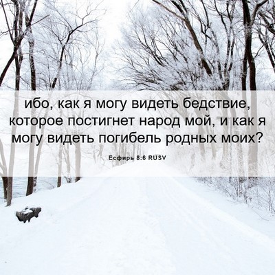 Picture 06 - Есфирь 8:6 RUSV - ибо, как я могу видеть - Bible Verse Picture