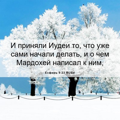 Picture 06 - Есфирь 9:23 RUSV - И приняли Иудеи то, что уже - Bible Verse Picture