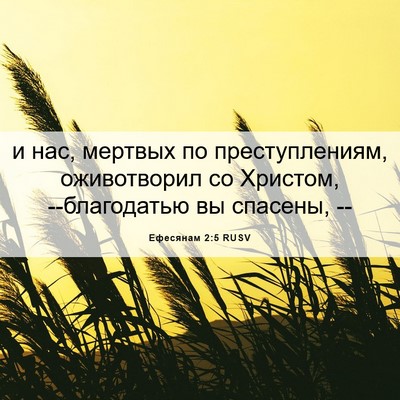 Picture 06 - Ефесянам 2:5 RUSV - и нас, мертвых по - Bible Verse Picture