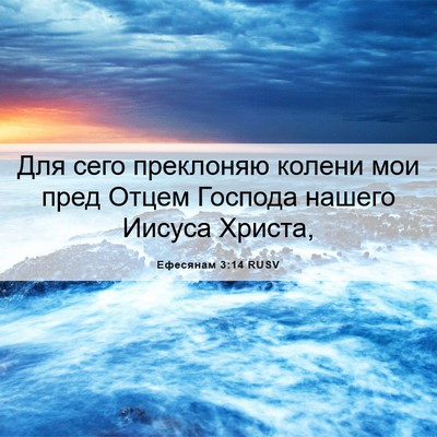 Picture 06 - Ефесянам 3:14 RUSV - Для сего преклоняю колени - Bible Verse Picture