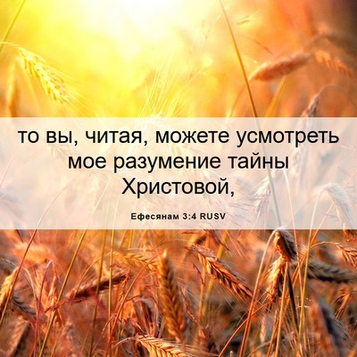 Picture 06 - Ефесянам 3:4 RUSV - то вы, читая, можете - Bible Verse Picture
