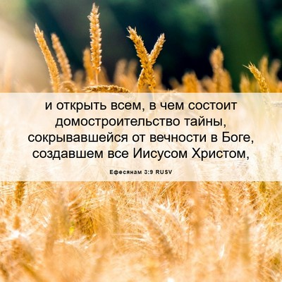 Picture 06 - Ефесянам 3:9 RUSV - и открыть всем, в чем - Bible Verse Picture
