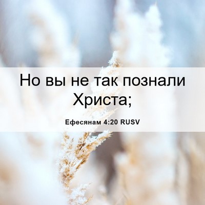 Picture 06 - Ефесянам 4:20 RUSV - Но вы не так познали - Bible Verse Picture