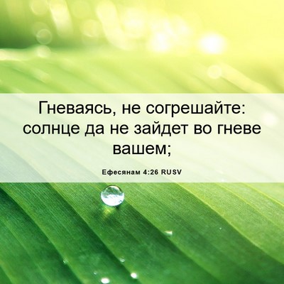 Picture 06 - Ефесянам 4:26 RUSV - Гневаясь, не согрешайте: - Bible Verse Picture