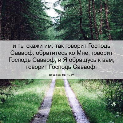 Picture 06 - Захария 1:3 RUSV - и ты скажи им: так говорит - Bible Verse Picture