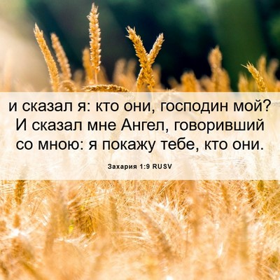 Picture 06 - Захария 1:9 RUSV - и сказал я: кто они, - Bible Verse Picture