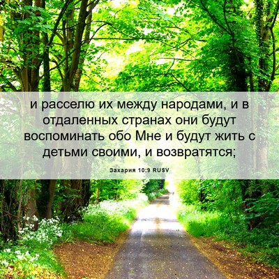 Picture 06 - Захария 10:9 RUSV - и расселю их между - Bible Verse Picture