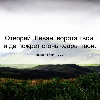 Picture 06 - Захария 11:1 RUSV - Отворяй, Ливан, ворота - Bible Verse Picture