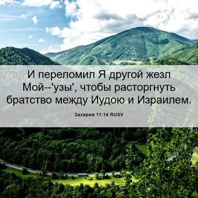 Picture 06 - Захария 11:14 RUSV - И переломил Я другой жезл - Bible Verse Picture