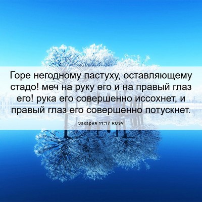 Picture 06 - Захария 11:17 RUSV - Горе негодному пастуху, - Bible Verse Picture