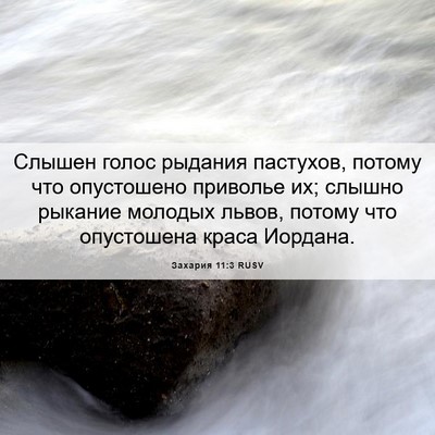 Picture 06 - Захария 11:3 RUSV - Слышен голос рыдания - Bible Verse Picture