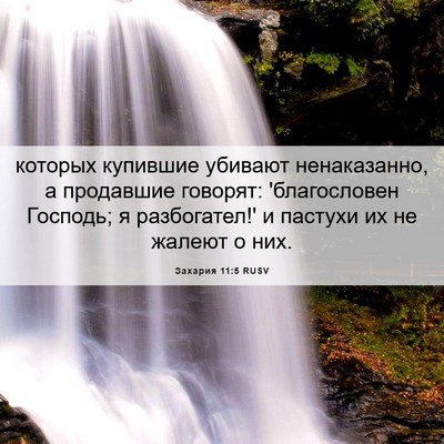 Picture 06 - Захария 11:5 RUSV - которых купившие убивают - Bible Verse Picture