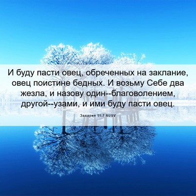Picture 06 - Захария 11:7 RUSV - И буду пасти овец, - Bible Verse Picture