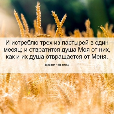 Picture 06 - Захария 11:8 RUSV - И истреблю трех из - Bible Verse Picture