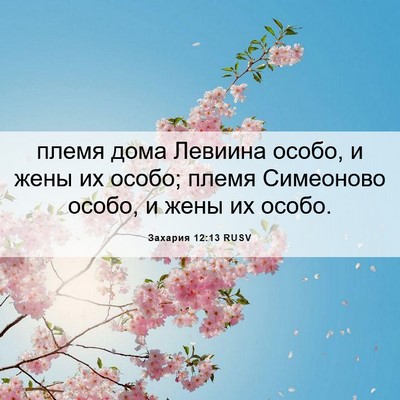 Picture 06 - Захария 12:13 RUSV - племя дома Левиина особо, и - Bible Verse Picture