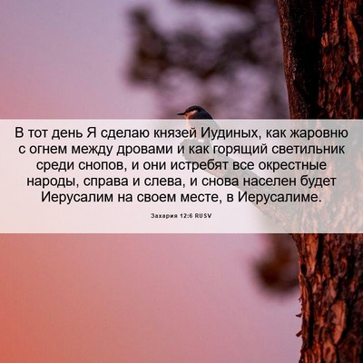 Picture 06 - Захария 12:6 RUSV - В тот день Я сделаю князей - Bible Verse Picture