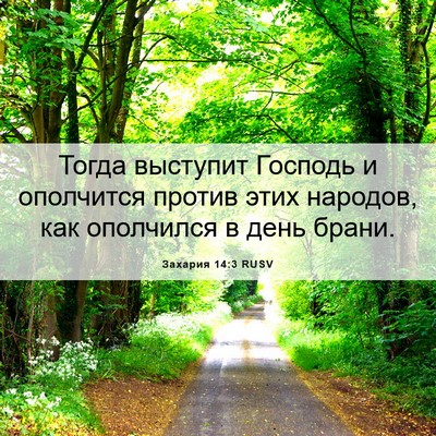 Picture 06 - Захария 14:3 RUSV - Тогда выступит Господь и - Bible Verse Picture