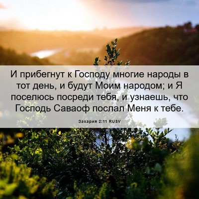 Picture 06 - Захария 2:11 RUSV - И прибегнут к Господу - Bible Verse Picture