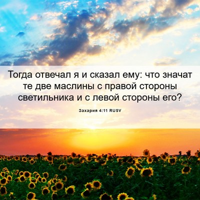 Picture 06 - Захария 4:11 RUSV - Тогда отвечал я и сказал - Bible Verse Picture