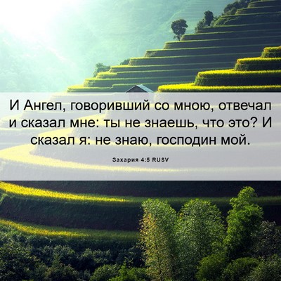 Picture 06 - Захария 4:5 RUSV - И Ангел, говоривший со - Bible Verse Picture