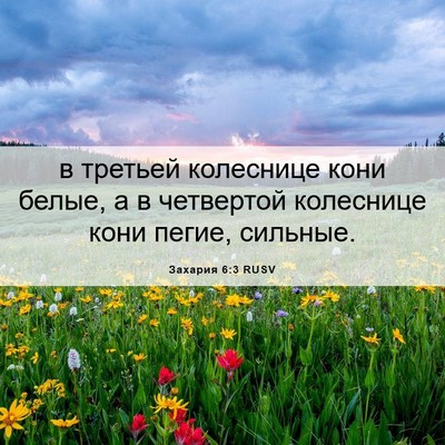 Picture 06 - Захария 6:3 RUSV - в третьей колеснице кони - Bible Verse Picture