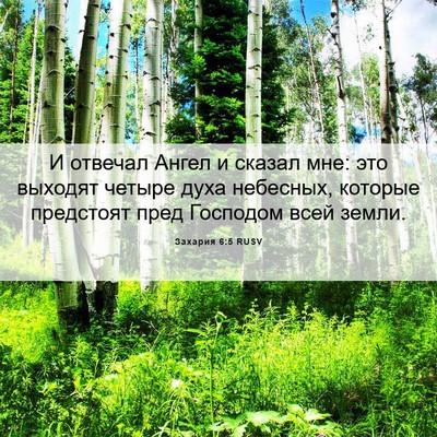 Picture 06 - Захария 6:5 RUSV - И отвечал Ангел и сказал - Bible Verse Picture