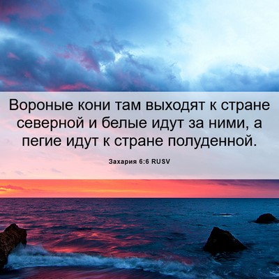 Picture 06 - Захария 6:6 RUSV - Вороные кони там выходят к - Bible Verse Picture