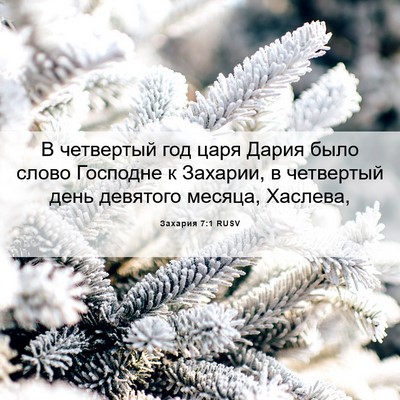 Picture 06 - Захария 7:1 RUSV - В четвертый год царя Дария - Bible Verse Picture
