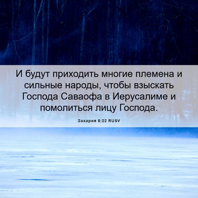 Picture 06 - Захария 8:22 RUSV - И будут приходить многие - Bible Verse Picture