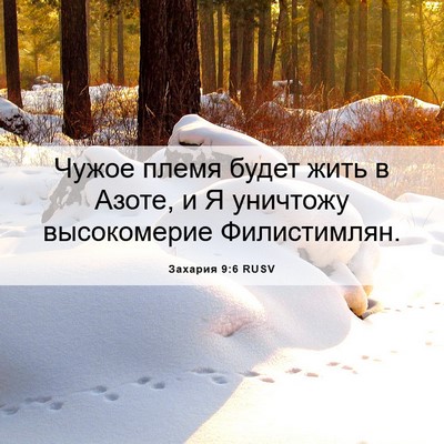Picture 06 - Захария 9:6 RUSV - Чужое племя будет жить в - Bible Verse Picture