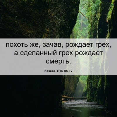 Picture 06 - Иакова 1:15 RUSV - похоть же, зачав, рождает - Bible Verse Picture