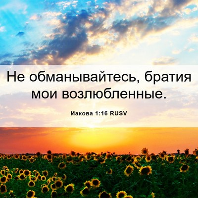 Picture 06 - Иакова 1:16 RUSV - Не обманывайтесь, братия - Bible Verse Picture