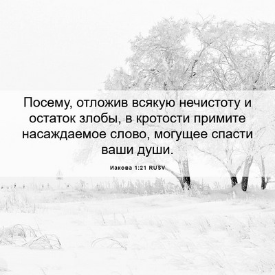 Picture 06 - Иакова 1:21 RUSV - Посему, отложив всякую - Bible Verse Picture