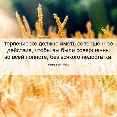 Picture 06 - Иакова 1:4 RUSV - терпение же должно иметь - Bible Verse Picture