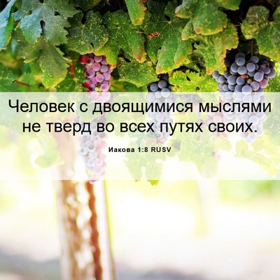 Picture 06 - Иакова 1:8 RUSV - Человек с двоящимися - Bible Verse Picture