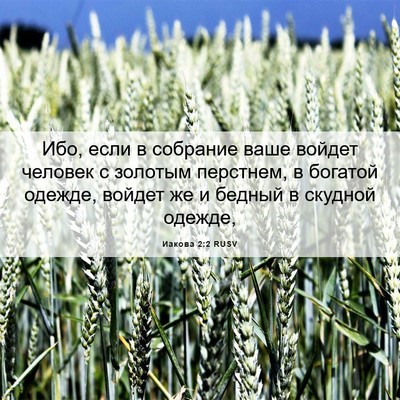 Picture 06 - Иакова 2:2 RUSV - Ибо, если в собрание ваше - Bible Verse Picture