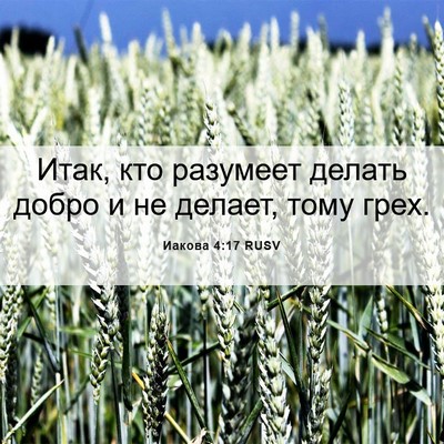 Picture 06 - Иакова 4:17 RUSV - Итак, кто разумеет делать - Bible Verse Picture