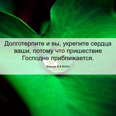 Picture 06 - Иакова 5:8 RUSV - Долготерпите и вы, - Bible Verse Picture