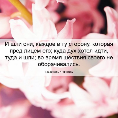 Picture 06 - Иезекииль 1:12 RUSV - И шли они, каждое в ту - Bible Verse Picture