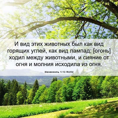 Picture 06 - Иезекииль 1:13 RUSV - И вид этих животных был как - Bible Verse Picture