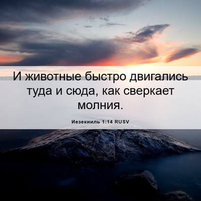Picture 06 - Иезекииль 1:14 RUSV - И животные быстро - Bible Verse Picture