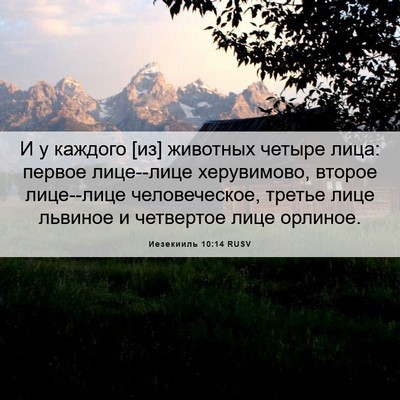 Picture 06 - Иезекииль 10:14 RUSV - И у каждого [из] животных - Bible Verse Picture