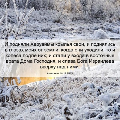 Picture 06 - Иезекииль 10:19 RUSV - И подняли Херувимы крылья - Bible Verse Picture