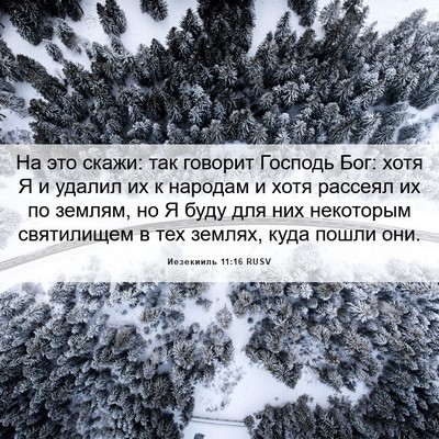 Picture 06 - Иезекииль 11:16 RUSV - На это скажи: так говорит - Bible Verse Picture